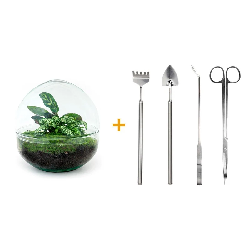 DIY Planten terrarium tweedelig bolglas - Dome - Met complete gereedschapsset