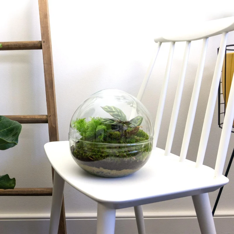 DIY Planten terrarium tweedelig bolglas - Dome - Met hark en schep