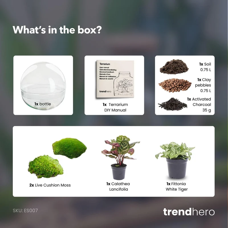 DIY Planten terrarium tweedelig bolglas - Dome - Zonder gereedschap