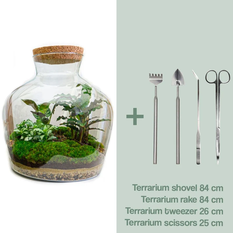 DIY Planten terrarium met licht - Fat Joe - Met complete gereedschapsset