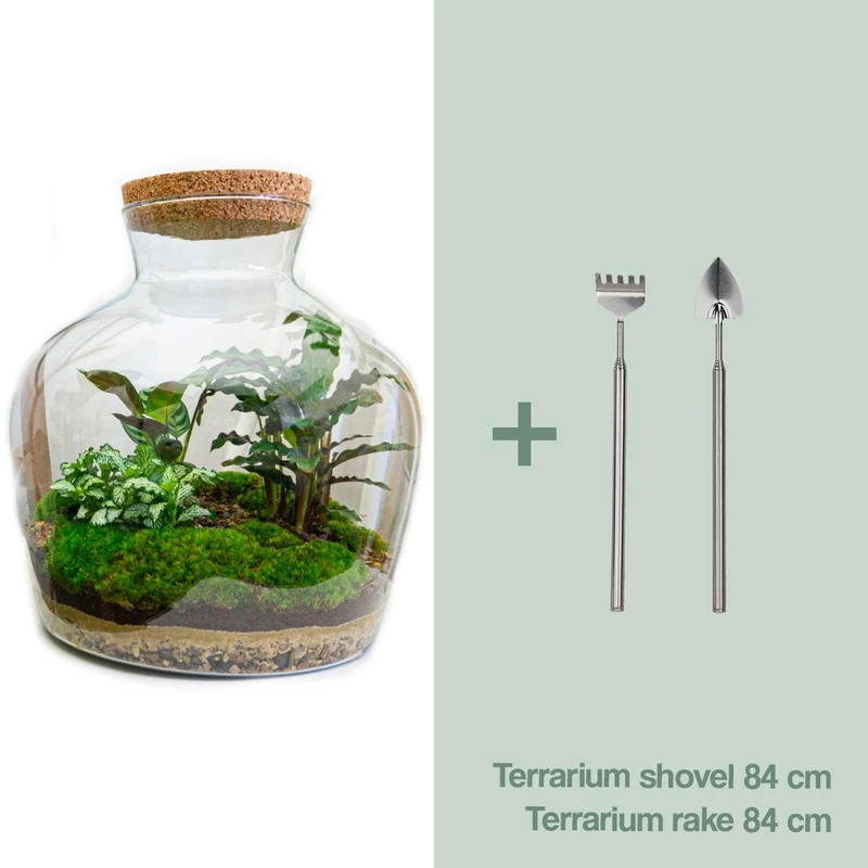 DIY Planten terrarium met licht - Fat Joe - Met hark en schep