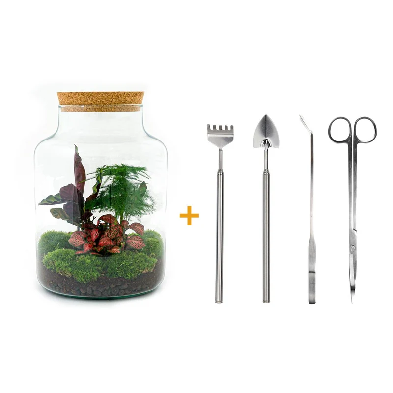 DIY Planten terrarium met licht - Milky - Met complete gereedschapsset