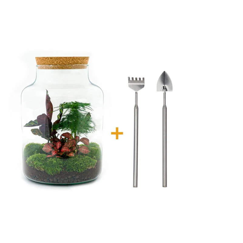 DIY Planten terrarium met licht - Milky - Met hark en schep