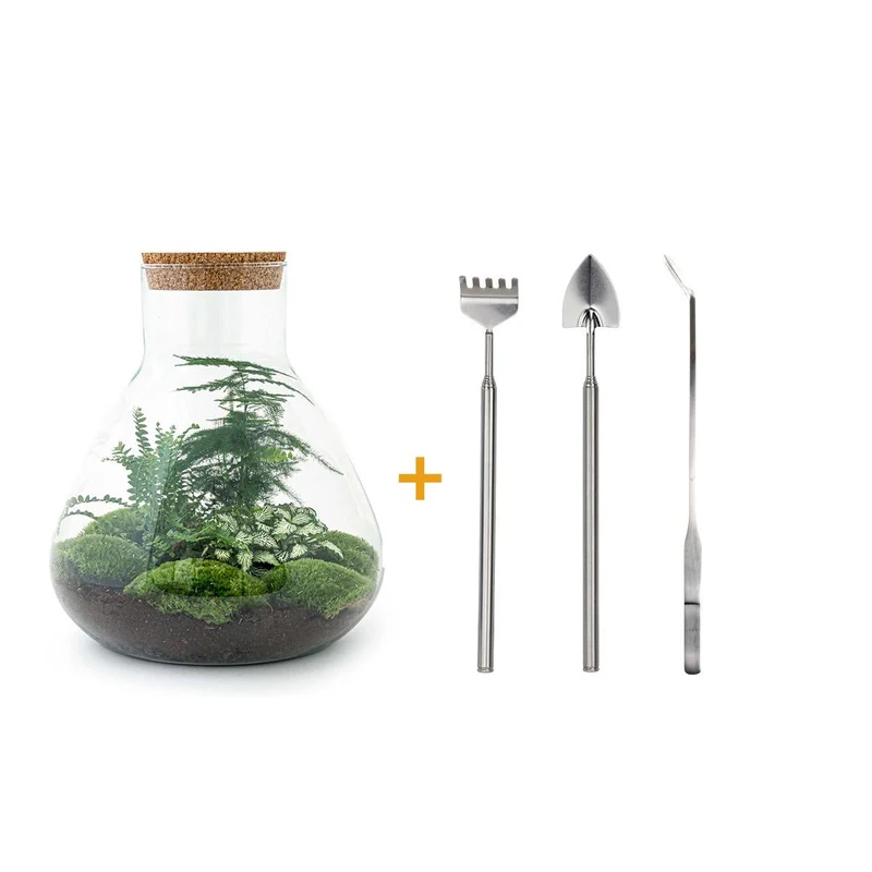 DIY Planten terrarium met licht - Sam XL Green - Met hark, schep en pincet