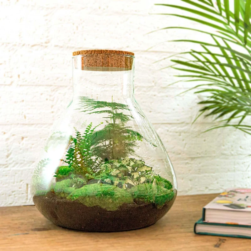 DIY Planten terrarium met licht - Sam XL Green - Met complete gereedschapsset