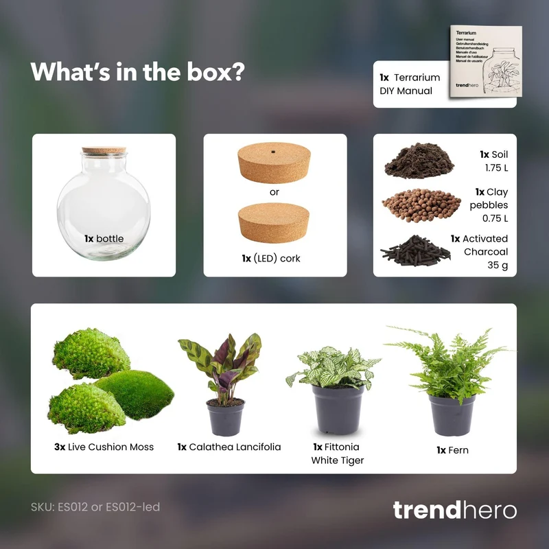DIY Planten terrarium (met verlichting) - Bolder Bob - Zonder gereedschap
