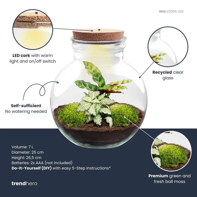 DIY Planten terrarium (met licht) - Teddy - Met ledkurk