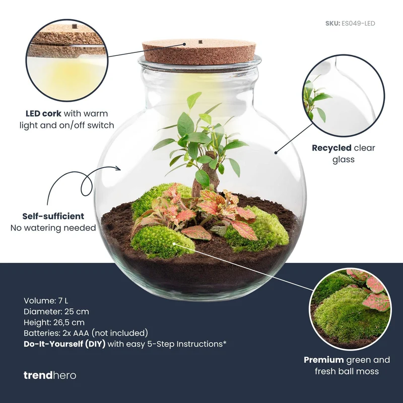 DIY Planten terrarium (met licht) - Teddy Bonsai - Met ledkurk