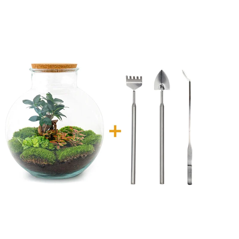 DIY Planten terrarium - Bolder Bob Bonsai - Met hark, schep en pincet