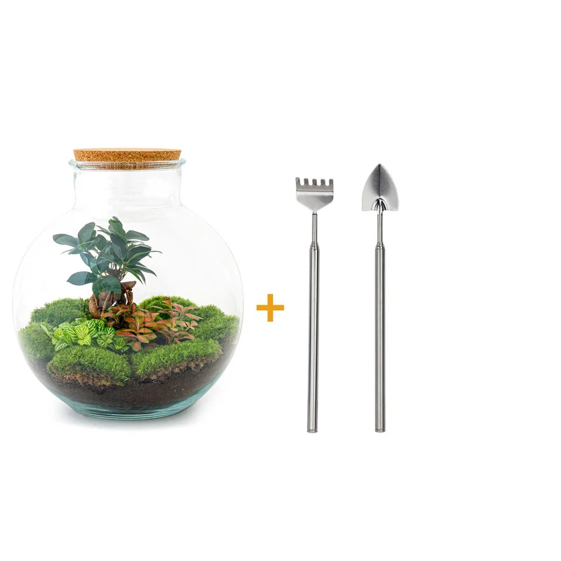 DIY Planten terrarium - Bolder Bob Bonsai - Met hark en schep