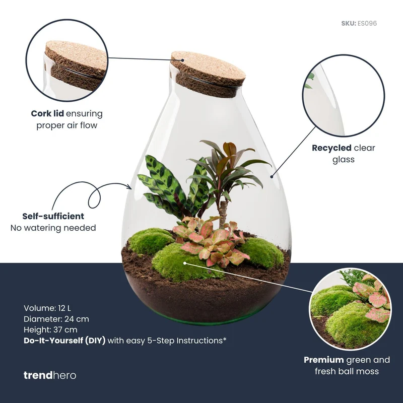 DIY Planten terrarium - Drop XL Palm - Zonder gereedschap