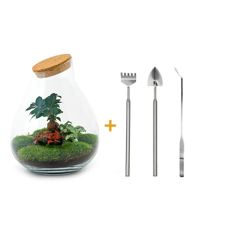 DIY Planten terrarium - Drop XL Bonsai 'red' - Met hark, schep en pincet