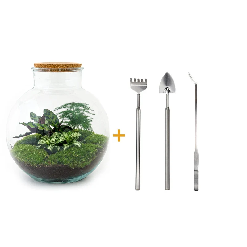 DIY Planten terrarium (met verlichting) - Bolder Bob - Met hark, schep en pincet