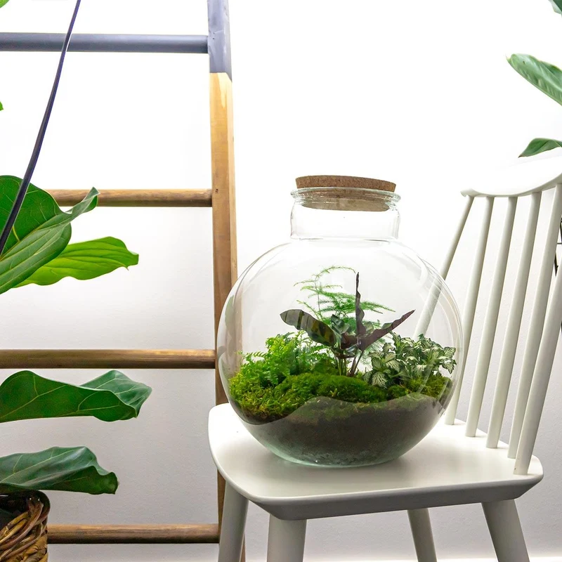 DIY Planten terrarium (met verlichting) - Bolder Bob - Met ledkurk