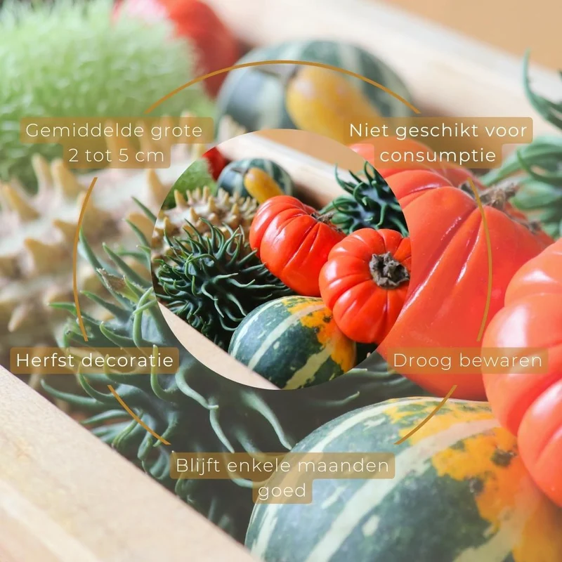 Decofruit Geschenkdoos 2