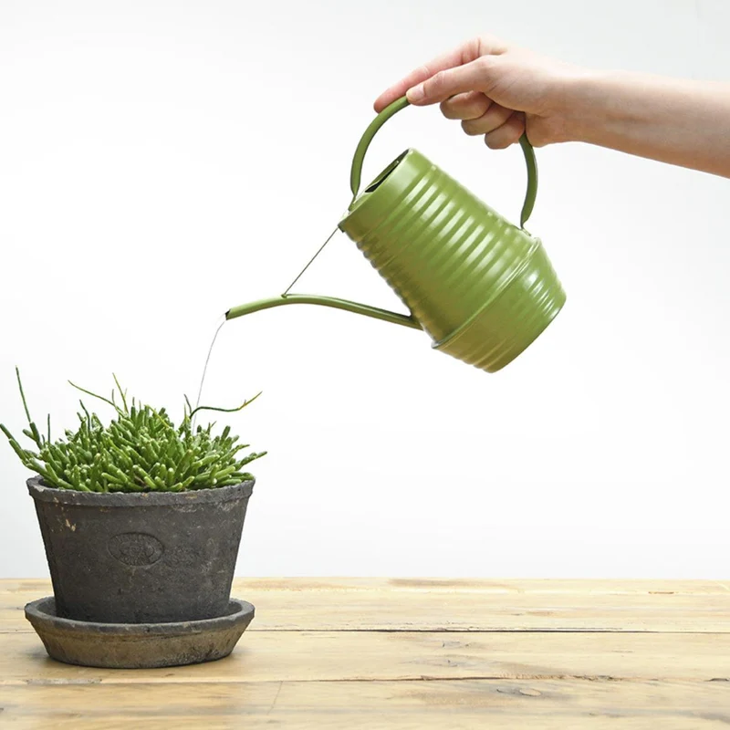 Bloemengieter - Zink - 1 liter