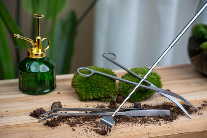 Terrarium pincet - Metaal
