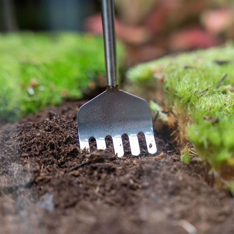 Terrarium Tool - Hark