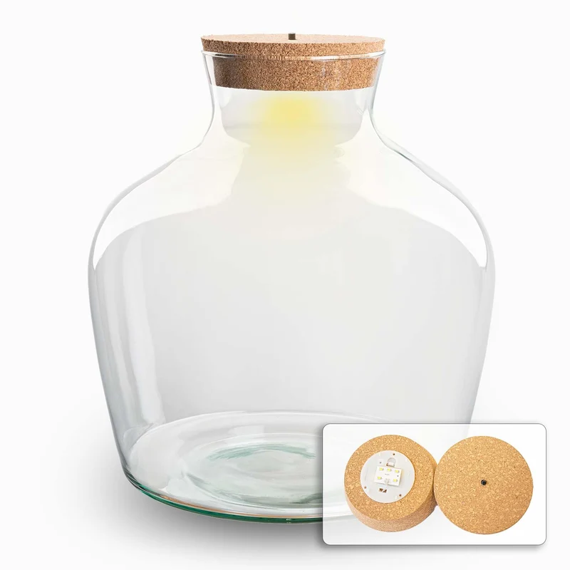 Terrarium fles met verlichting - Fat Joe