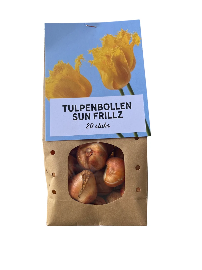 Tulpenbollen Sun Frillz – 20 Stuks | KH Bloembollen® | Gele Tulp met Kartelrand – Zonnig, Uniek & Speels – Voor Tuin of Pot – Maat 11/12
