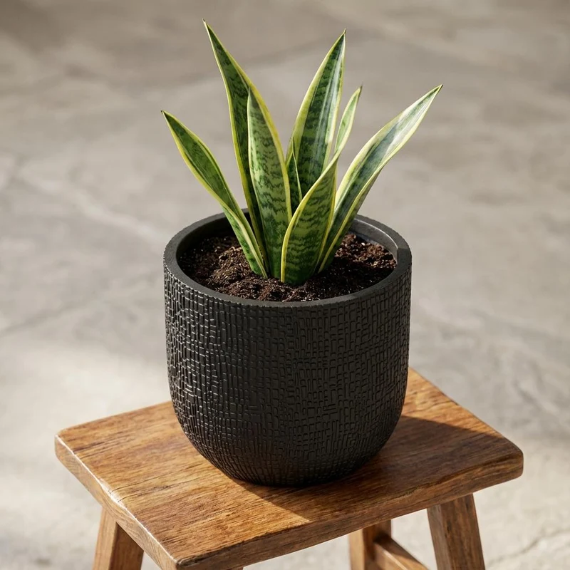 Capi Nature Skin Pot Bol Antraciet