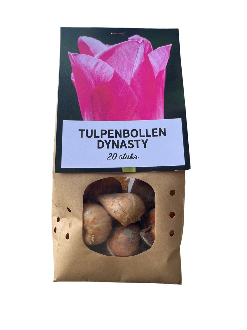Tulpenbollen Dynasty – 20 Stuks | KH Bloembollen® | Roze Tulp – Elegant & Vol – Voor Tuin of Pot – Maat 11/12