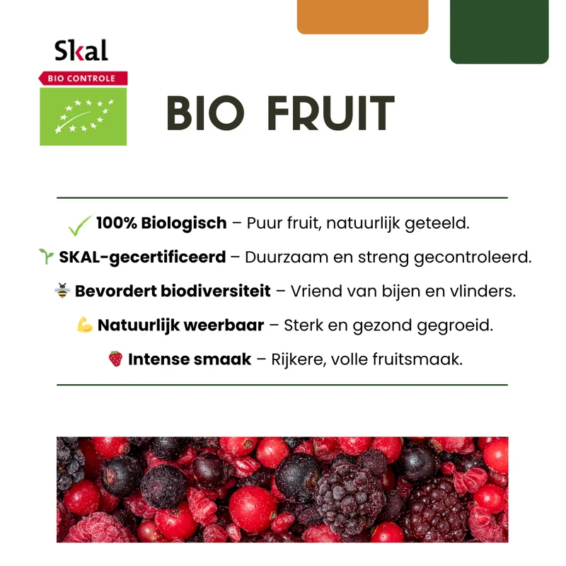 3 x Biologische Druivenplanten