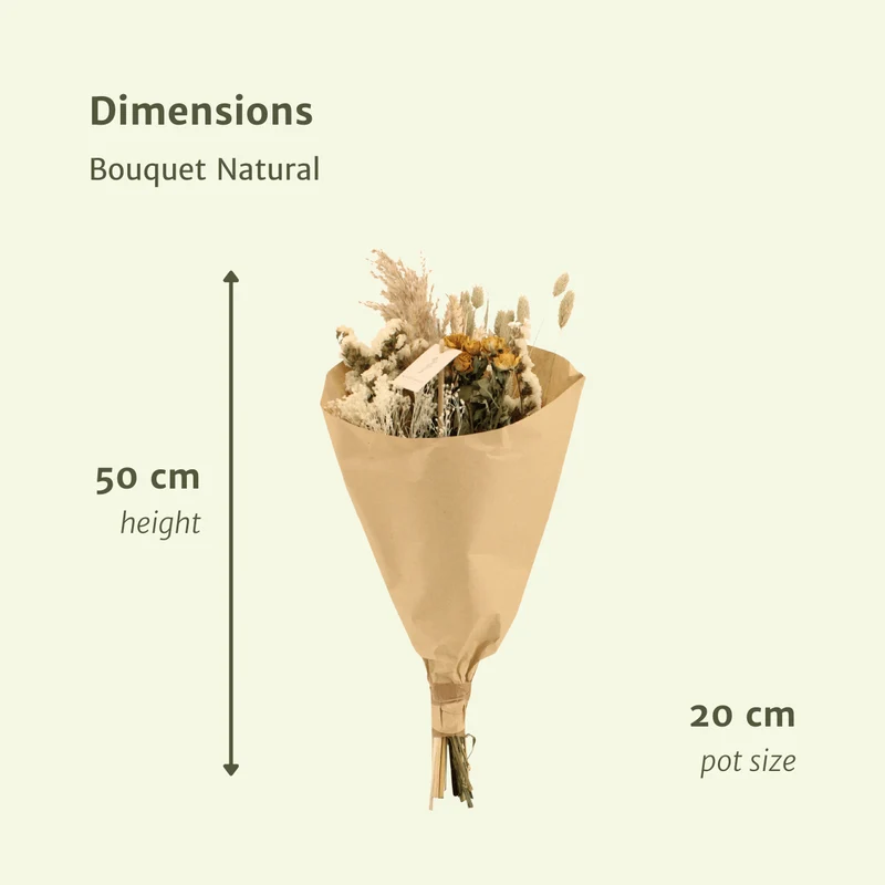 Droogbloemenboeket naturel - middel