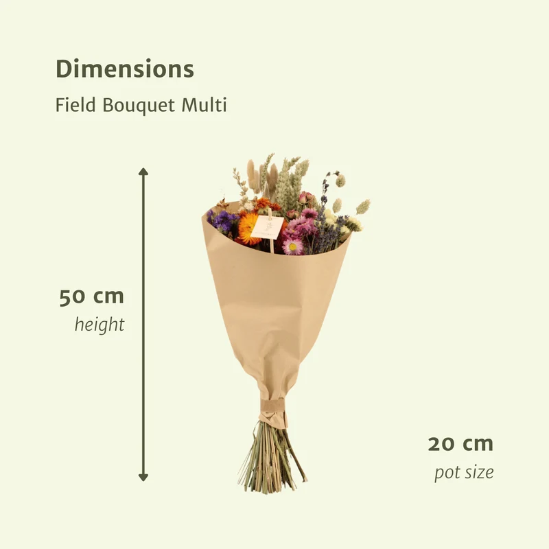 Droogbloemenboeket multicolor - middel