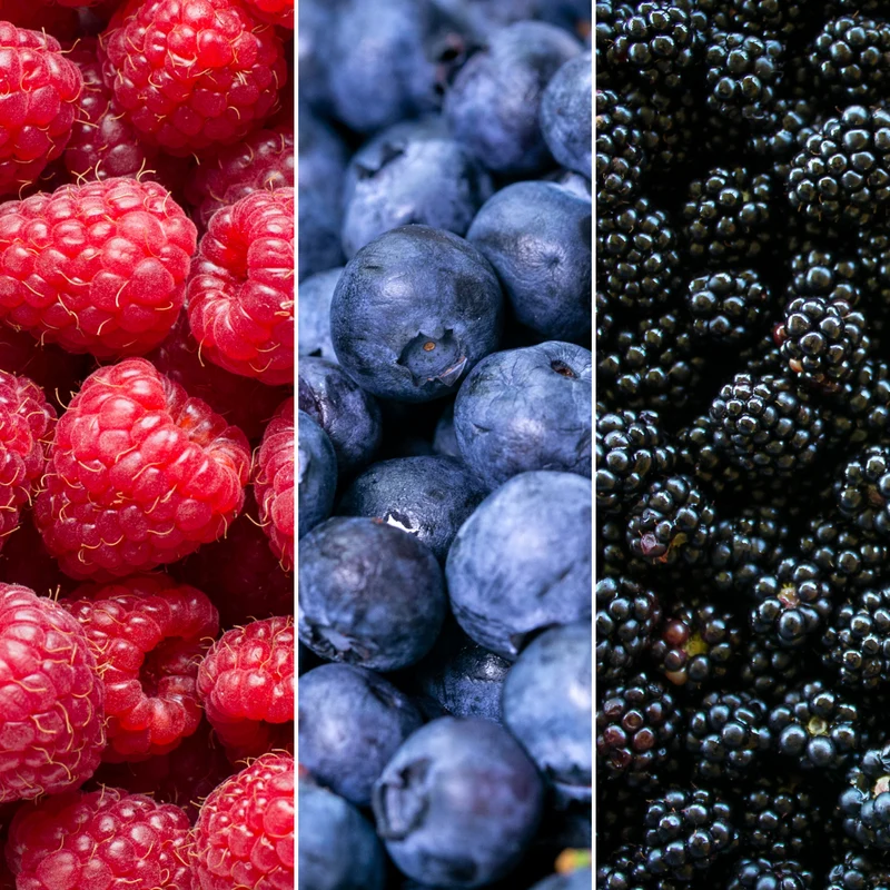 Vruchten feestje, BIO fruitplanten mix van 3 soorten