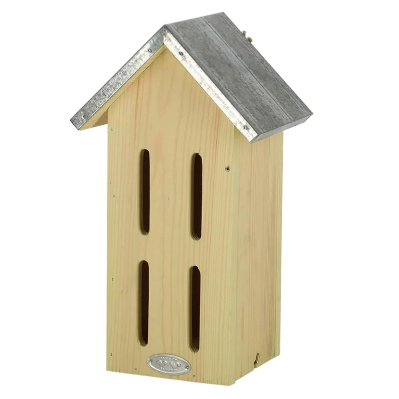 Vlinderkast