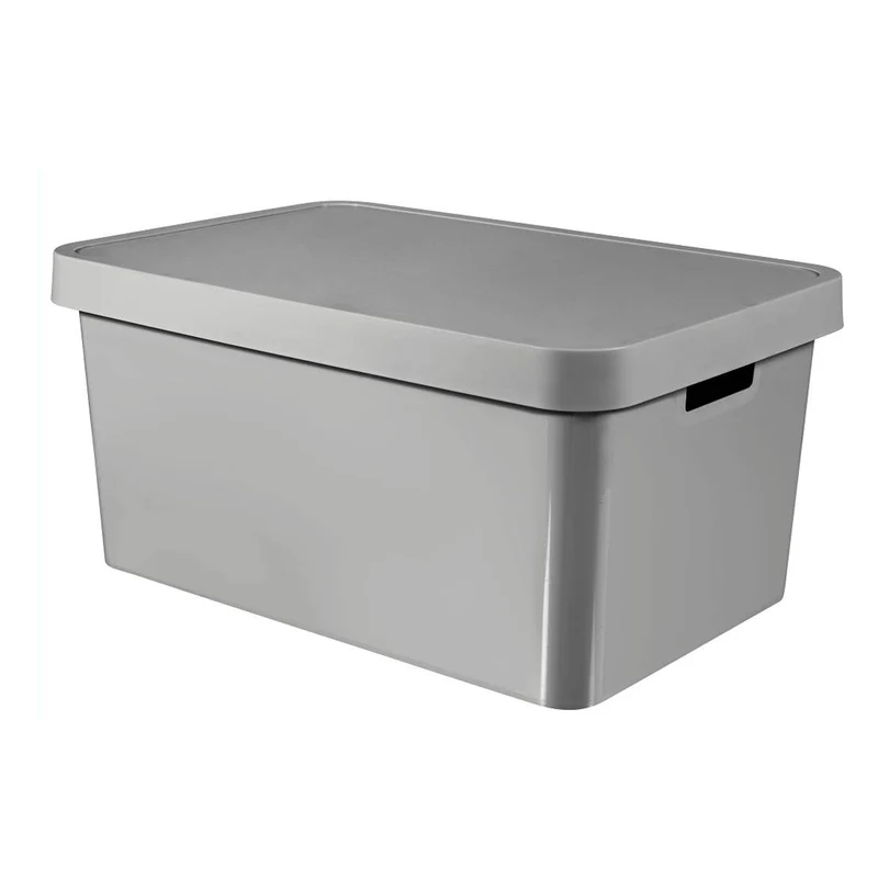 Curver 233941 Infinity Opbergbox met deksel 45L Grijs met Handgrepen