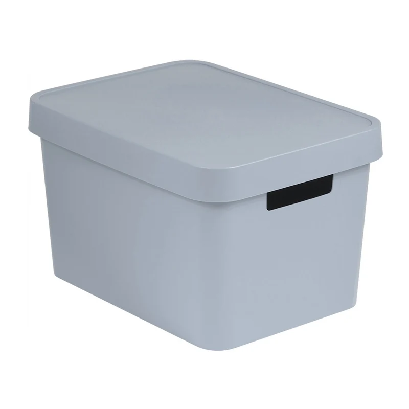 Opbergbox met deksel Curver Infinity 17L grijs