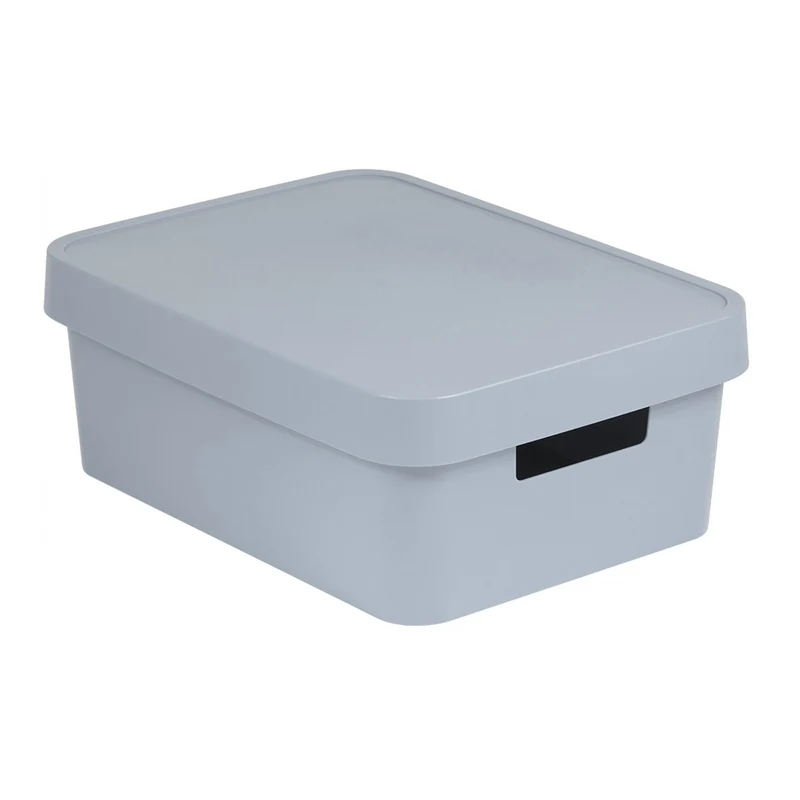 Opbergbox met deksel Curver Infinity 11L grijs