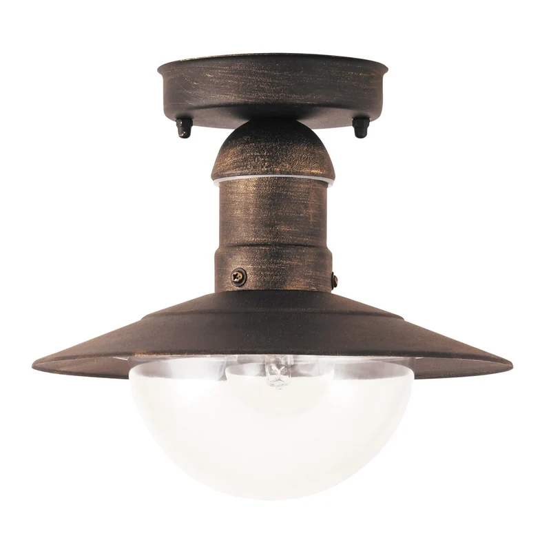 Rabalux Oslo 8736 metalen plafondlamp voor buiten