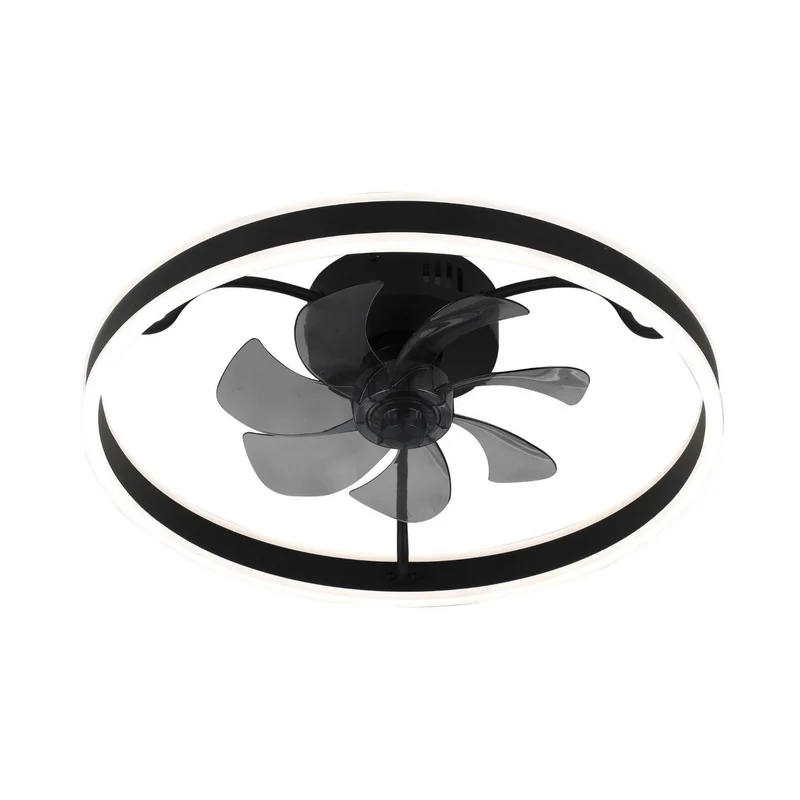 Plafonnier Rabalux, avec ventilateur, 40W, noir, Fanfy